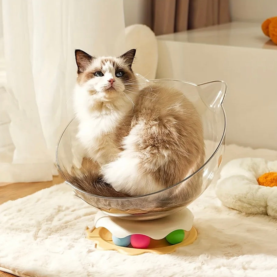 Cama acrílica para gatos con vista panorámica