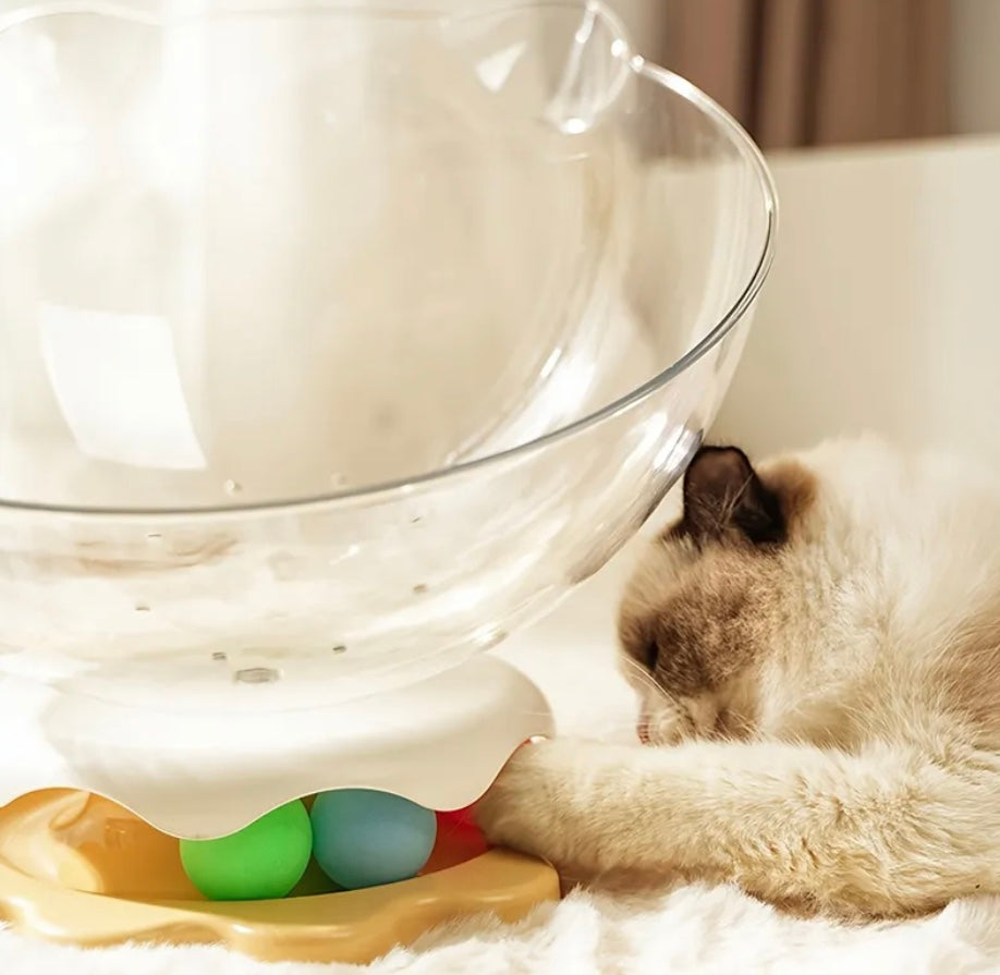 Cama acrílica para gatos con vista panorámica