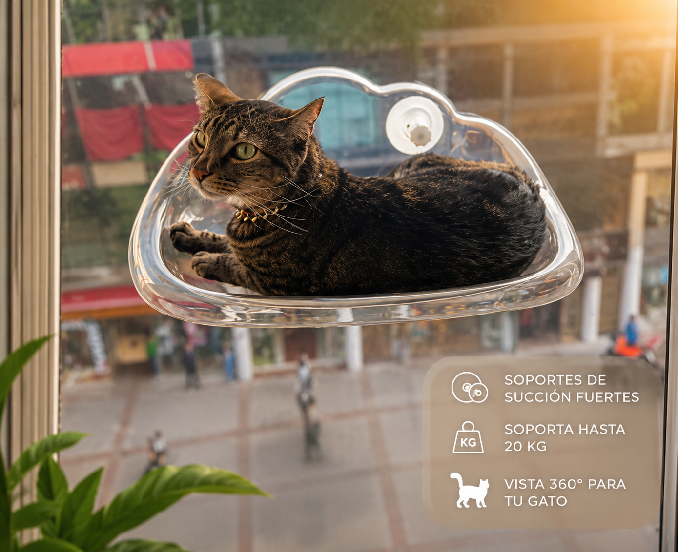 Hamaca Acrílica Transparente con Ventosas para Gatos