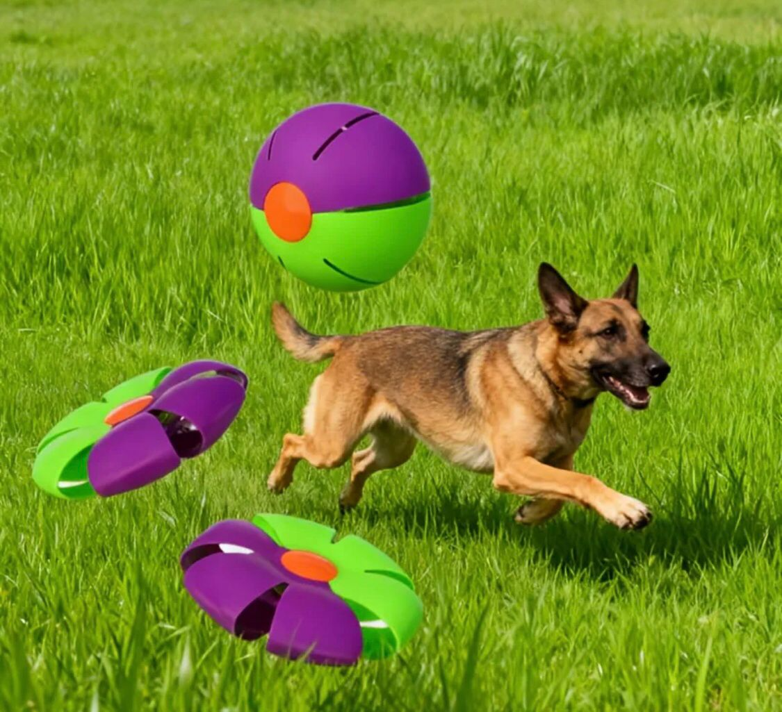 Pelota Disco Saltarina con Luz
