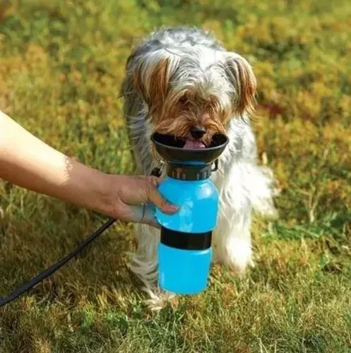Kit Aventura Premium 🐾 — Mochila Cápsula + Termo Portátil